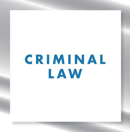 Criminal Law Services