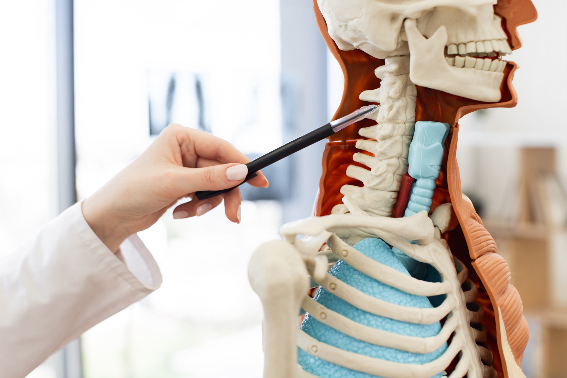 Close-up of a doctor using a pen to point at a herniated disc on a human spine model during a medical explanation