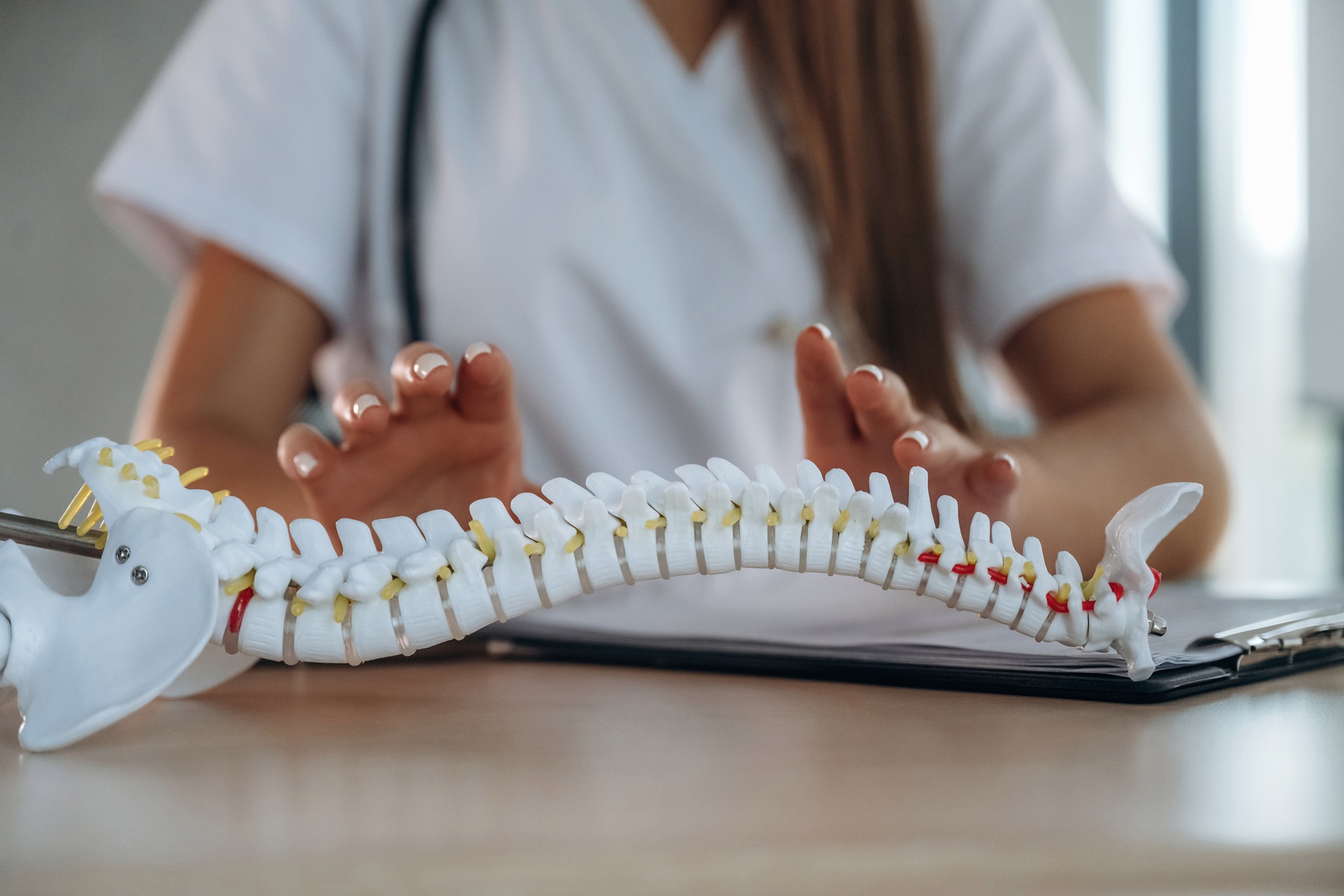 Female doctor with hands near an anatomical spine model placed on a desk for medical consultation